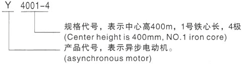 西安泰富西玛Y系列(H355-1000)高压YJTG-355M2-6A/185KW三相异步电机型号说明