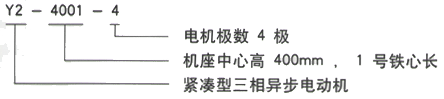 YR系列(H355-1000)高压YJTG-355M2-6A/185KW三相异步电机西安西玛电机型号说明